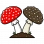 Мухоморы