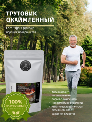 Трутовик Окаймленный 100 грамм