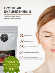 Трутовик Окаймленный 100 грамм