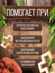 Экстракт Рейши (Ganoderma lucidum) гриб трутовик лакированный 120 капсул