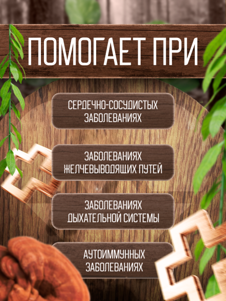 Экстракт Рейши (трутовика лакированного) 120 капсул