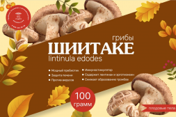 Гриб Шиитаке (плодовые тела) 100 грамм