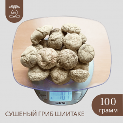 Гриб Шиитаке (плодовые тела) 100 грамм