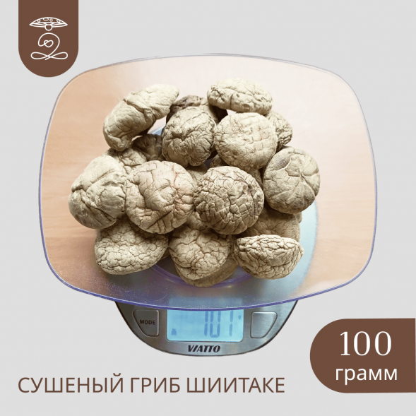 Гриб Шиитаке (плодовые тела) 100 грамм