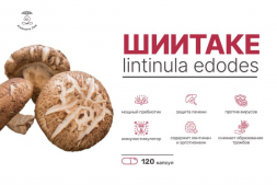 Молотый гриб шиитаке 120 капсул