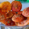 Мухомор красный сушеные шляпки 25 гр