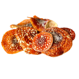 Мухомор красный сушеные шляпки 1 кг