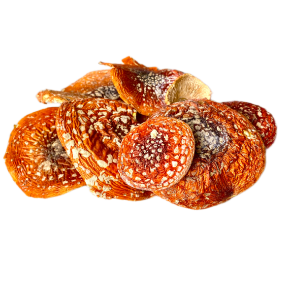 Мухомор красный сушеные шляпки 1 кг