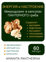 Микродозинг пантерного мухомора 60 капс по 0,5-0,6 гр