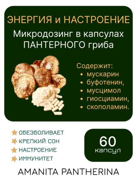 Микродозинг пантерного мухомора 60 капс по 0,5-0,6 гр