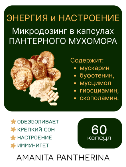 Микродозинг пантерного мухомора 60 капс по 0,5-0,6 гр