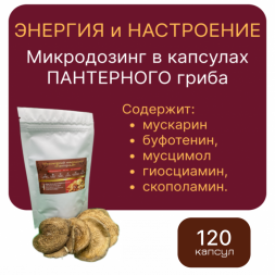 Микродозинг пантерного мухомора 120 капс по 0,5-0,6 гр
