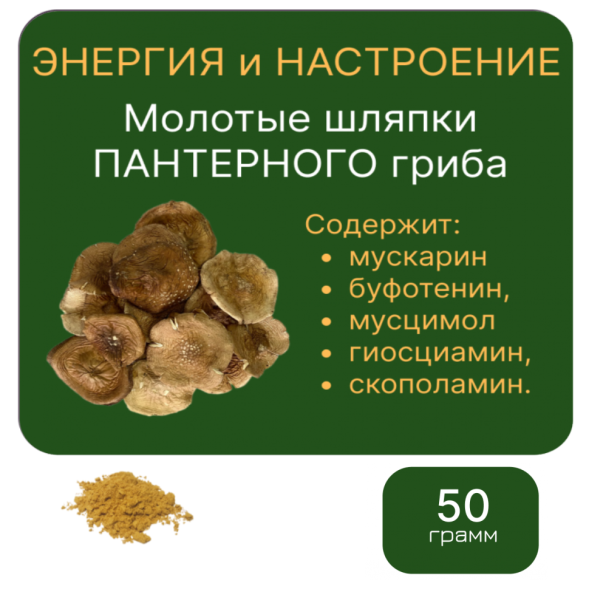 ПАНТЕРНЫЙ ГРИБ Алтайский молотые в порошок шляпки 50 грамм