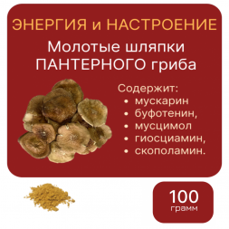 ПАНТЕРНЫЙ ГРИБ Алтая молотые шляпки 100 грамм