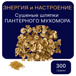 ПАНТЕРНЫЙ ГРИБ Алтайский сушеные шляпки 300 грамм