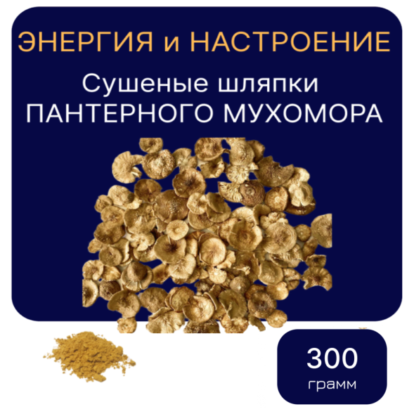 ПАНТЕРНЫЙ ГРИБ Алтайский сушеные шляпки 300 грамм