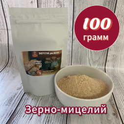 Молотый ЗЕРНО-МИЦЕЛИЙ ЕЖОВИКА гребенчатого 100 грамм