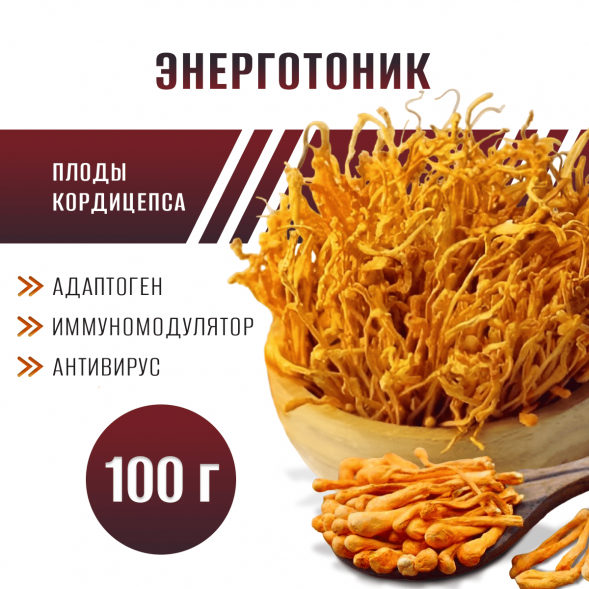 Гриб КОРДИЦЕПС (Милитарис) плоды целые 100 грамм