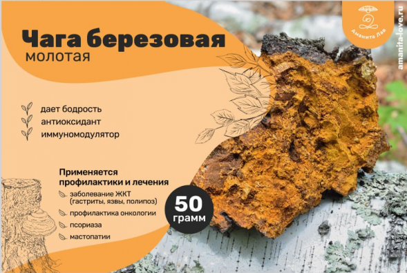 Чага Березовая молотая 50 грамм для чагового чая
