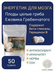 Плоды целые ЕЖОВИКА Гребенчатого 50 грамм