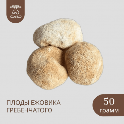 Плоды целые ЕЖОВИКА Гребенчатого 50 грамм