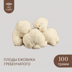 Плоды целые ЕЖОВИКА Гребенчатого 100 грамм