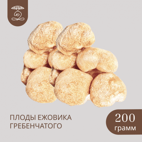Плоды целые Дикорастущего ЕЖОВИКА Гребенчатого 200 грамм