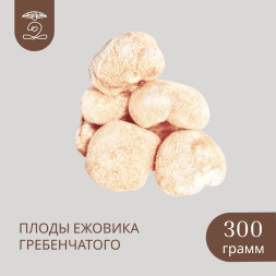 Плоды целые ЕЖОВИКА Гребенчатого 300 грамм