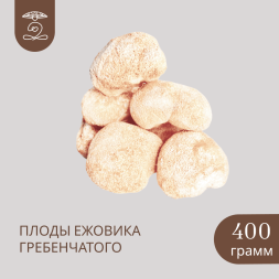 Плоды целые Дикорастущего ЕЖОВИКА Гребенчатого 400 грамм