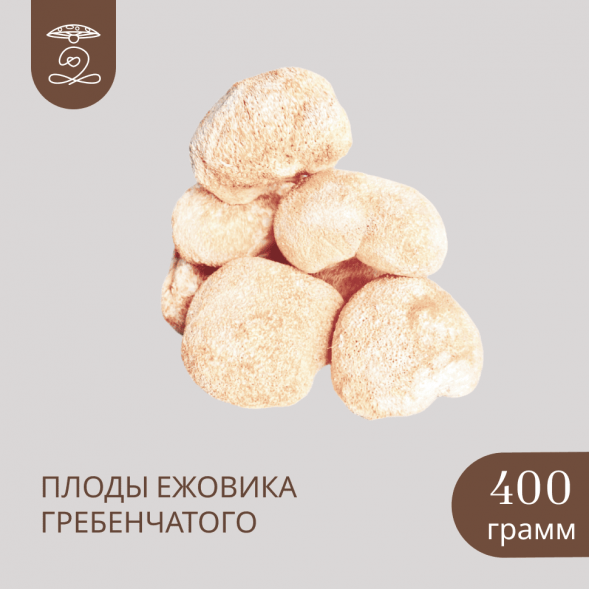 Плоды целые Дикорастущего ЕЖОВИКА Гребенчатого 400 грамм