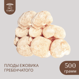 Плоды целые ЕЖОВИКА Гребенчатого 500 грамм