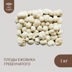 Плоды целые ЕЖОВИКА Гребенчатого 1000 грамм